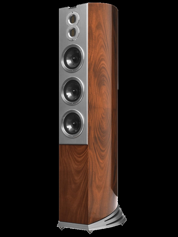 AUDIOVECTOR R 10 Arreté i Italian Walnut Burl