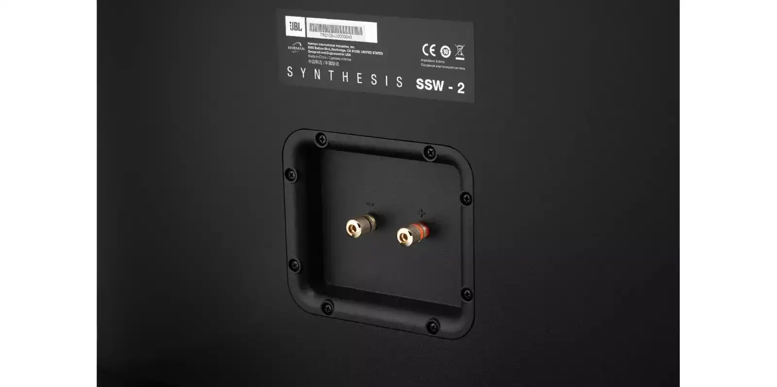JBL-Synthesis-SSW-2-terminals