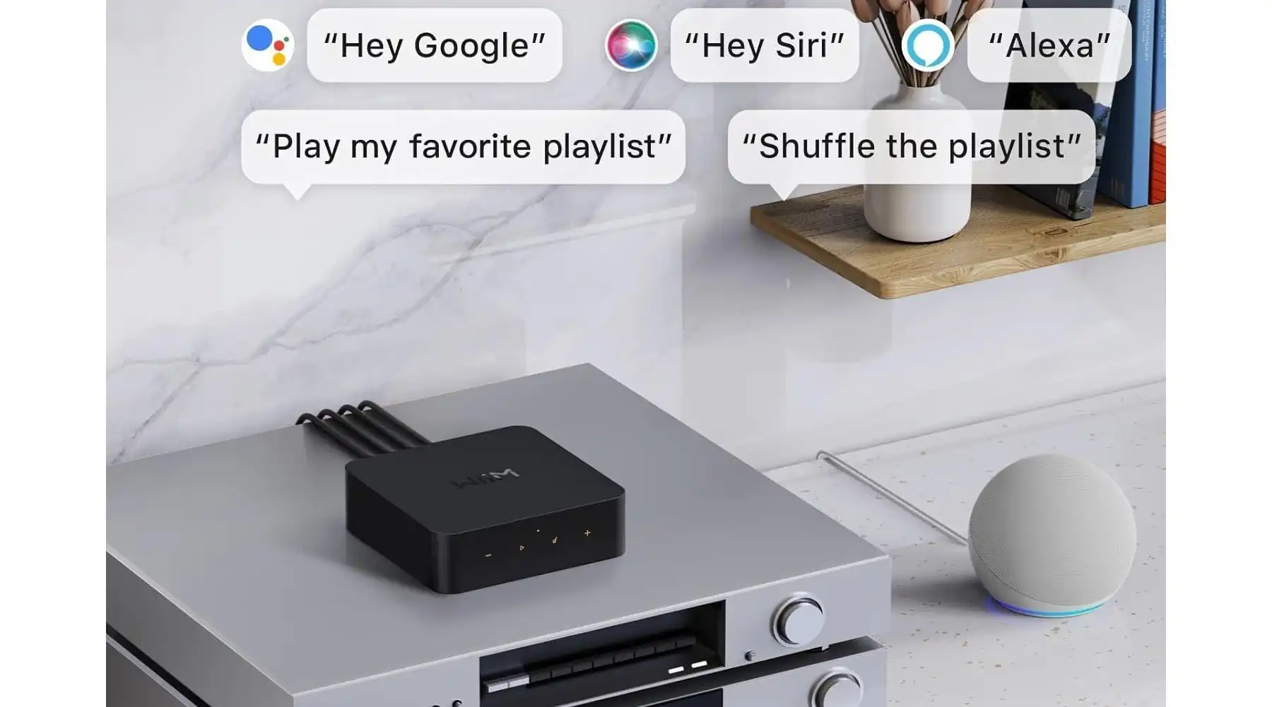 Wiim-pro-google-siri-alexa